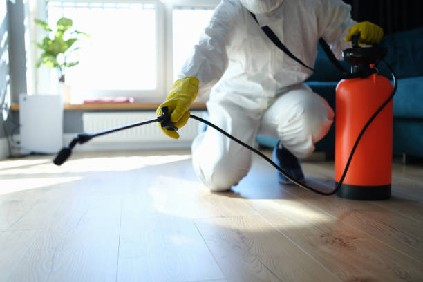 Reliable Sewage Cleanup contractor in Saint Paul, NE by Trauma Clean Pros